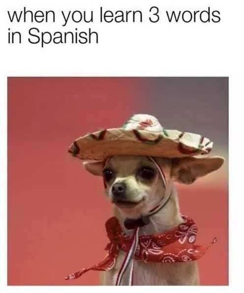 What’s the best meme you’ve ever seen?