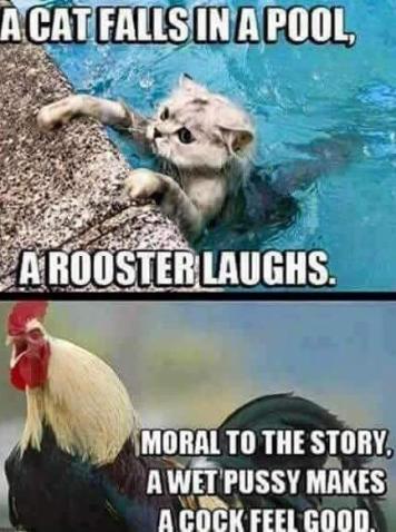 What’s the best meme you’ve ever seen?