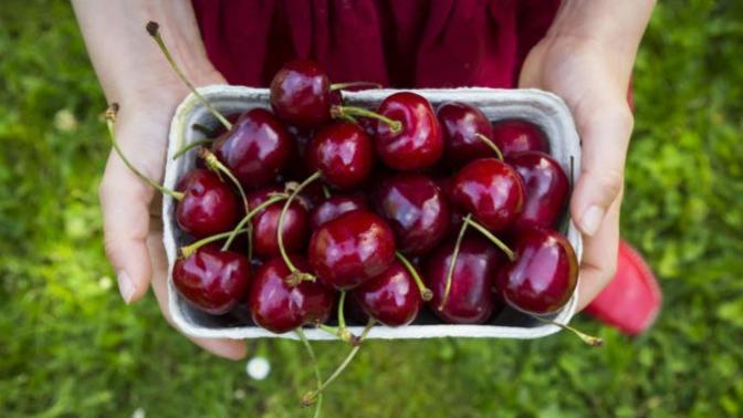 Do you like cherry?