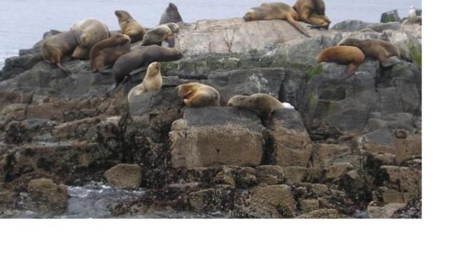 Would you like to visit Tierra del Fuego?