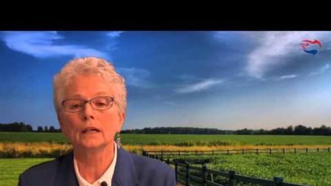 Should we settle refugees/illegal immigrants in sanctuary cities?
