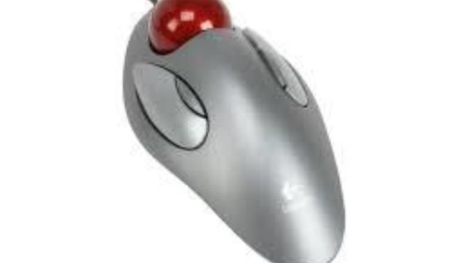 What Do You Think About a Marble Mouse?