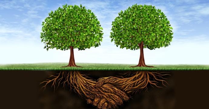 The strongest relationships are the ones that are built on a foundation.