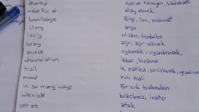 How do you learn a foreign language?