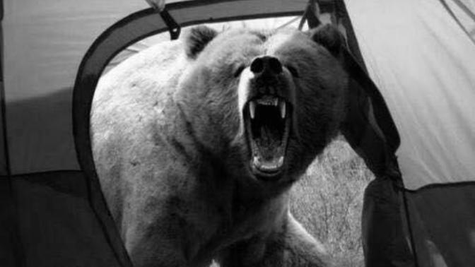 You are tent camping and you think you are being pranked - what do you do?