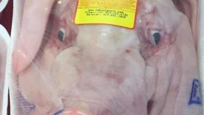 Would you eat an animal head?