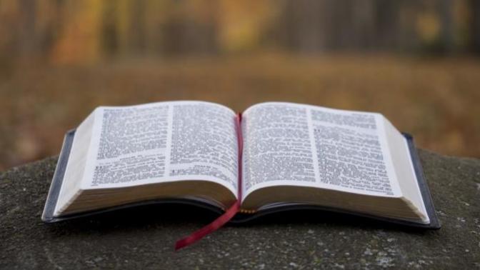 What's your opinion of the Bible?