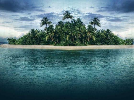 If you were stuck on an island, how long do you think you'd be able to survive?