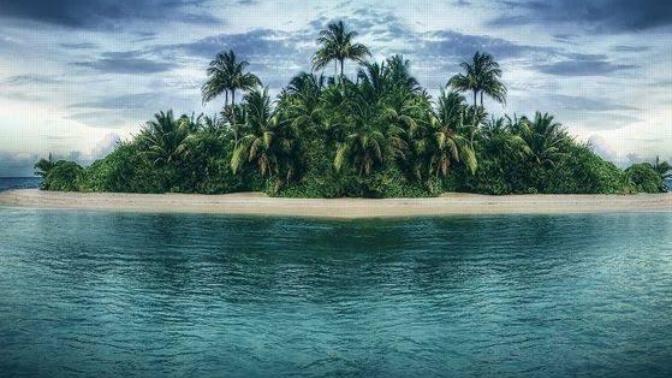 If you were stuck on an island, how long do you think you'd be able to survive?