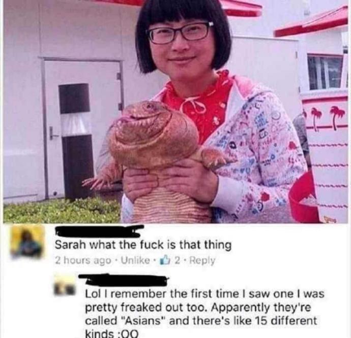 Is this funny or not?
