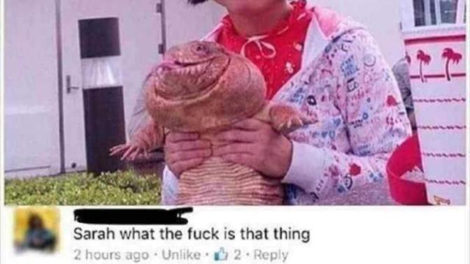 Is this funny or not?