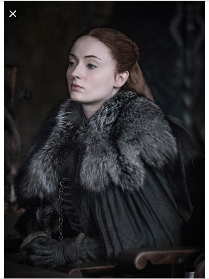 Who is a better leader in the world of Game of Thrones?