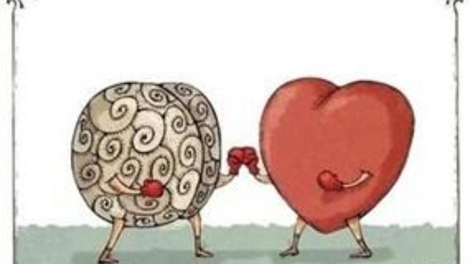 Do you run after logic or emotion?
