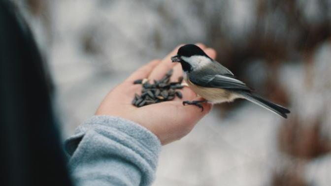 When's the last time you fed an animal?
