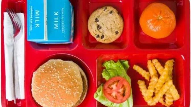 How much did you/do you pay for food at your school?