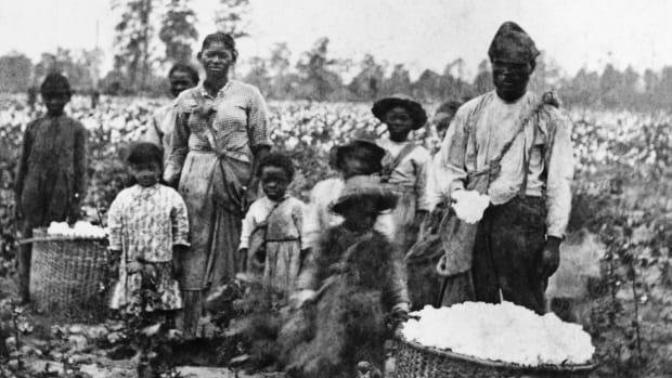 If you were a slave, would you procreate?