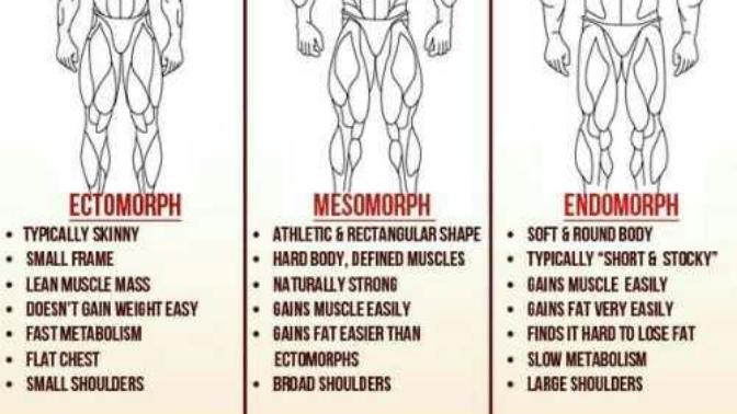 To the ladies out there, body shape question, not about a dudes junk?