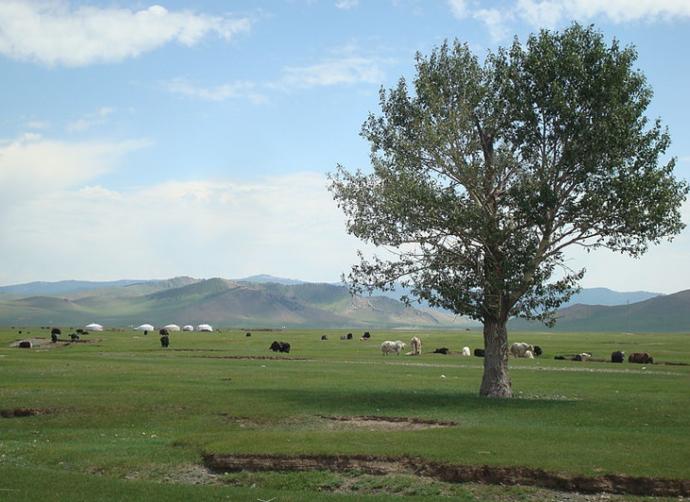 Would you want to visit Mongolia?