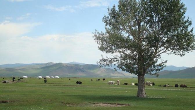 Would you want to visit Mongolia?