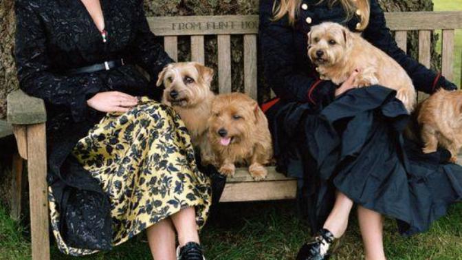 Do you think Princess Eugenie and Princess Beatrice are pretty?