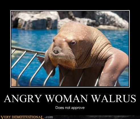 Why does being on my period make me feel like an angry walrus sometimes?