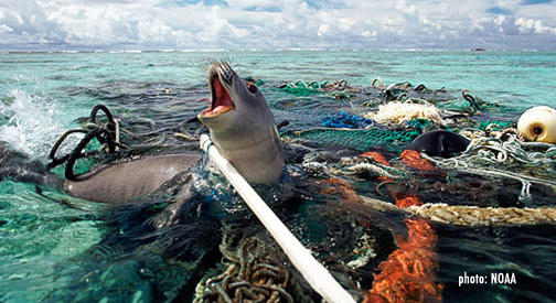 Why does being on my period make me feel like an angry walrus sometimes?