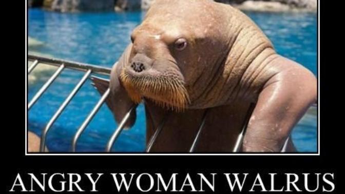 Why does being on my period make me feel like an angry walrus sometimes?