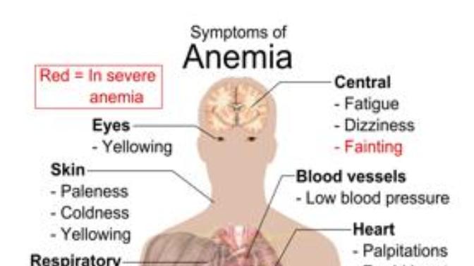 For those that used to be Vegan or Vegetarian but are not any longer - Did you become anemic or develop another type of sickness prior to quitting?