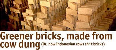What About Bricks Made From Poo?