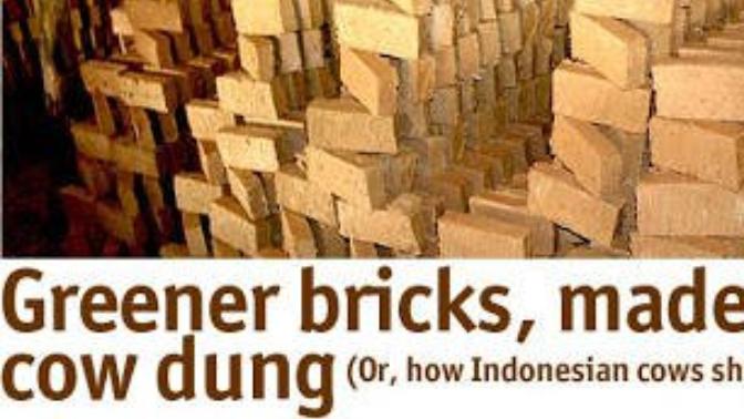 What About Bricks Made From Poo?