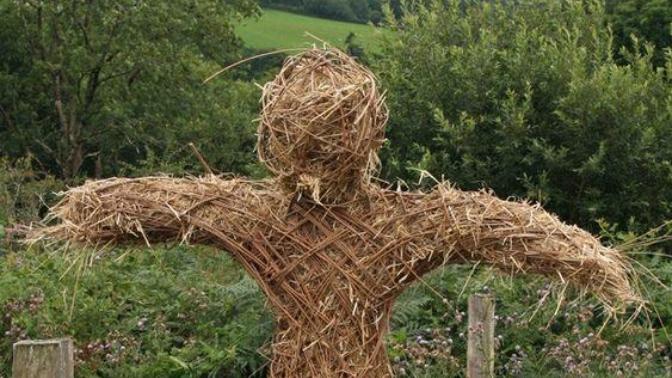 Why are people so quick to use strawman arguments?