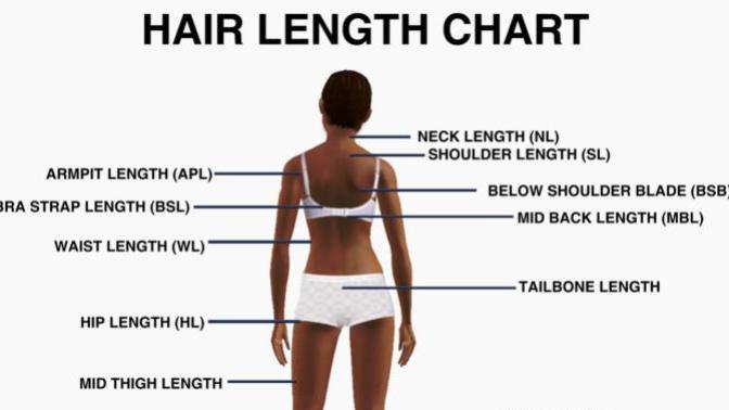 What hair length is considered long and very long?