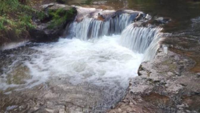 Would you want to visit Kerosene Creek in Rotorua, New Zealand?
