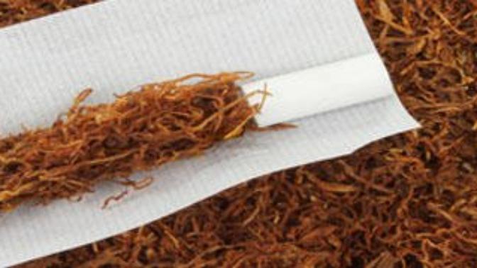 Should I start selling homemade cigarettes?