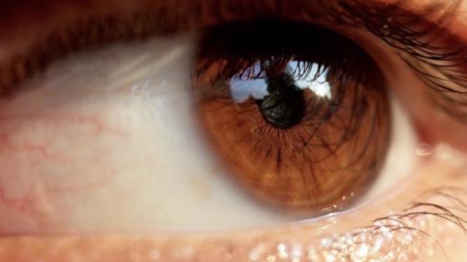Do you think brown eyes are beautiful👁?