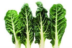 Do you like silverbeet?