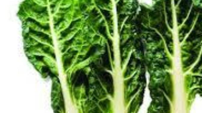 Do you like silverbeet?