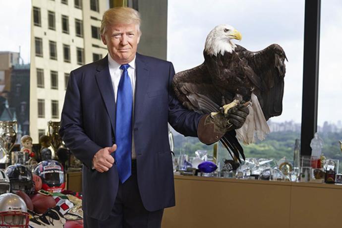 Do you think that Trump is the President America NEEDS?