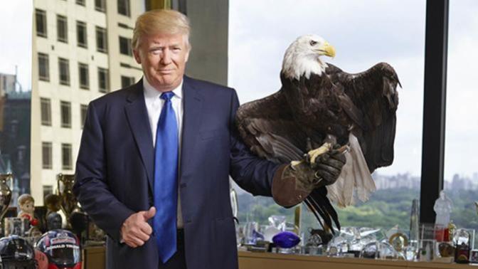 Do you think that Trump is the President America NEEDS?