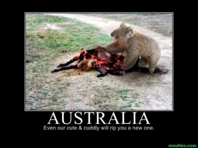 Would you rather have hands like an AYE-AYE or a KOALA?