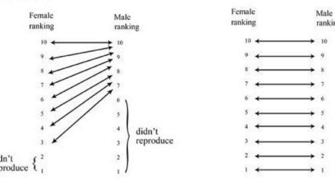 1-10 ranking of hotness (how it works?)?
