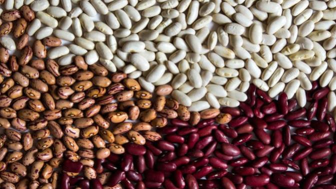 What's your favorite type of bean?
