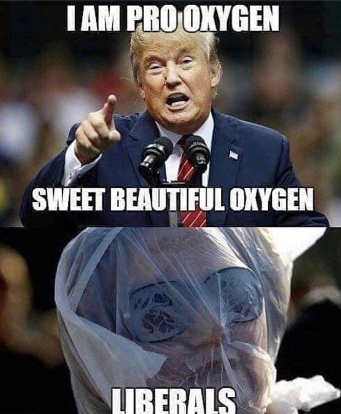 I heard Trump likes air. Should we make breathing illegal?