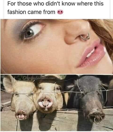 What do you think of girls with septum piercings?