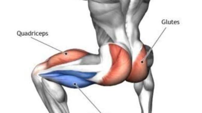 If I train more on my glutes, hamstrings and quads.. will I get slimmer thighs?
