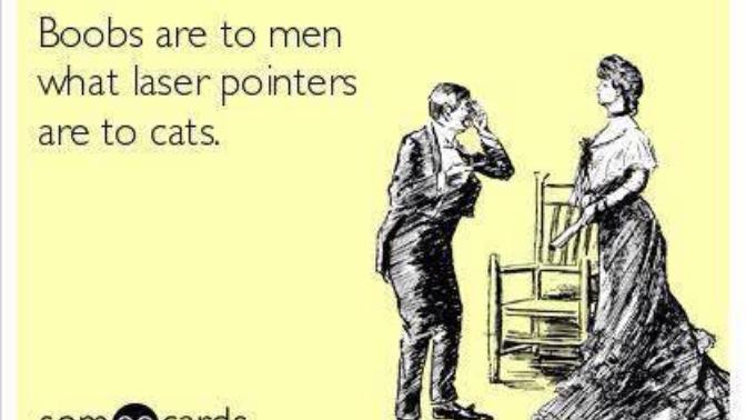 Guys, is this true? That boobs to men are like laser pointers to cats?