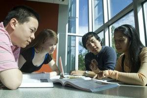 Do you like working in groups (in college)?