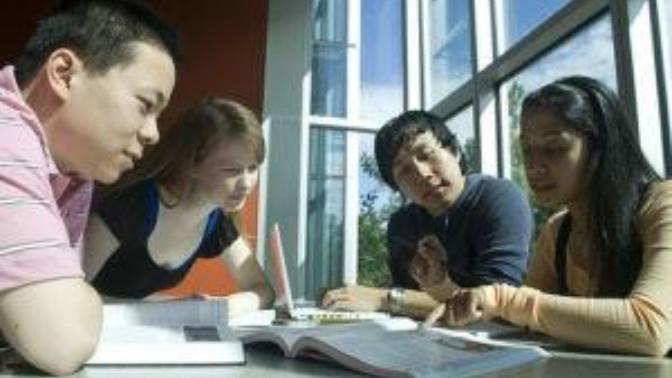Do you like working in groups (in college)?