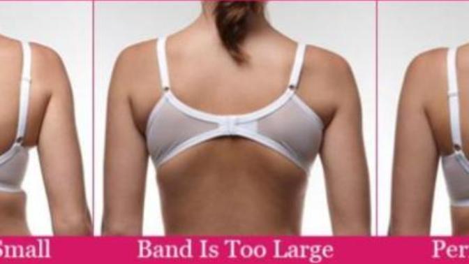 Girls, Does your bra fit you right or do you wear any bra that looks good?