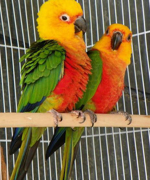 Should everybody be a feminist?